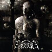 El texto musical THE ARMAGEDDON ANTHEM de ZONARIA también está presente en el álbum Infamy and the breed (2007)