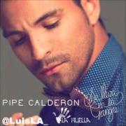 El texto musical TUS RECUERDOS SON MI DIOS de PIPE CALDERON también está presente en el álbum Mi mundo (2010)