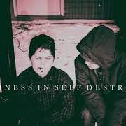 El texto musical LIVING YOUR DREAM de THE PLOT IN YOU también está presente en el álbum Happiness in self destruction (2015)