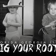 El texto musical HEATWAVE de FLORIDA GEORGIA LINE también está presente en el álbum Dig your roots (2016)