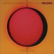 El texto musical TODO HOMEM de CAETANO VELOSO también está presente en el álbum Ofertório (feat. tom veloso) [ao vivo] (2018)