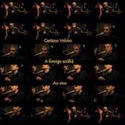 El texto musical NATURE BOY de CAETANO VELOSO también está presente en el álbum A foreign sound (2004)