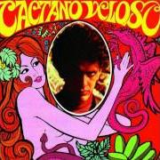 El texto musical CANTO DO BOLA DE NEVE de CAETANO VELOSO también está presente en el álbum Caetano (1987)