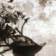 El texto musical ON THE THRESHOLD OF DEATH de HACRIDE también está presente en el álbum Amoeba (2007)