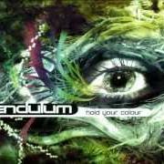 El texto musical FASTEN YOUR SEATBELT de PENDULUM también está presente en el álbum Hold your colour (2005)