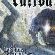 El texto musical NO MORE 2ND CHANCES de CALIBAN también está presente en el álbum The undying darkness (2006)