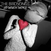 El texto musical PIECES (ACOUSTIC) de BIRDSONGS (THE) también está presente en el álbum Celestial stationary ep (2008)