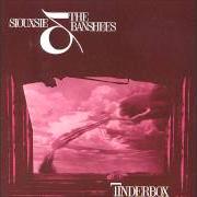 El texto musical CANNONS de SIOUXSIE AND THE BANSHEES también está presente en el álbum Tinderbox (1986)