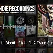 El texto musical VOID de PURIFIED IN BLOOD también está presente en el álbum Flight of a dying sun (2012)