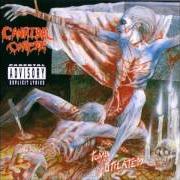 El texto musical SHREDDED HUMANS de CANNIBAL CORPSE también está presente en el álbum Hammer smashed face (1993)