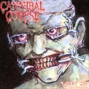 El texto musical MONOLITH de CANNIBAL CORPSE también está presente en el álbum Vile (1996)