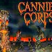 El texto musical BLOODSTAINED CEMENT de CANNIBAL CORPSE también está presente en el álbum A skeletal domain (2014)