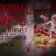 El texto musical FOLLOW THE BLOOD de CANNIBAL CORPSE también está presente en el álbum Violence unimagined (2021)