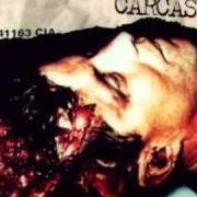 El texto musical ROT 'N' ROLL de CARCASS también está presente en el álbum Wake up and smell the... carcass (1996)