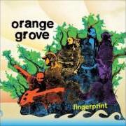 El texto musical LITTLE BY LITTLE de ORANGE GROVE también está presente en el álbum Fingerprint (2009)