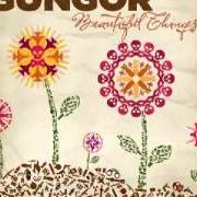 El texto musical BRIGHTER DAY de GUNGOR también está presente en el álbum Beautiful things (2010)
