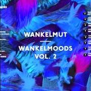 El texto musical NOT EASY de WANKELMUT también está presente en el álbum Wankelmoods vol.2 (2014)