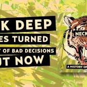 El texto musical UP IN SMOKE de NECK DEEP también está presente en el álbum A history of bad decisions (2013)
