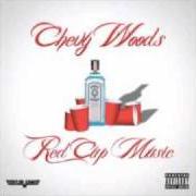 El texto musical DRUNK IN VEGAS de CHEVY WOODS también está presente en el álbum Red cup music (2011)