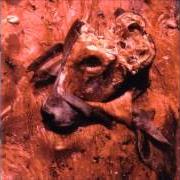 El texto musical FLESH-EATING DISEASE (FLU-LIKE SYMPTOMES OF E-COLI WITH COMPLETE DIGESTIVE SHUT-DOWN) de CATTLE DECAPITATION también está presente en el álbum Human jerky (1999)
