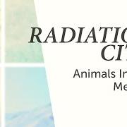 El texto musical ENTROPIA de RADIATION CITY también está presente en el álbum Animals in the median (2013)