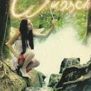 El texto musical LATTE de FEUERSCHWANZ también está presente en el álbum Wunsch ist wunsch (2011)
