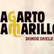 El texto musical CULPABLE de LAGARTO AMARILLO también está presente en el álbum Estoy mintiendo de verdad (2012)