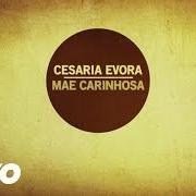 El texto musical MAE CARINHOSA de CESARIA EVORA también está presente en el álbum Mãe carinhosa (2013)