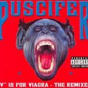 El texto musical QUEEN B. de PUSCIFER también está presente en el álbum V is for vagina (2007)