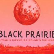 El texto musical LAY ME DOWN IN TENNESSEE de BLACK PRAIRIE también está presente en el álbum A tear in the eye is a wound in the heart (2012)