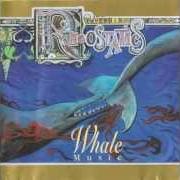 El texto musical SICKENING SONG de RHEOSTATICS también está presente en el álbum Whale music (2013)