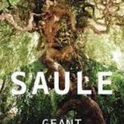 El texto musical TYPE NORMAL de SAULE también está presente en el álbum Géant (2013)