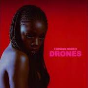 El texto musical GRIOTS OF THE CRENSHAW DISTRICT de TERRACE MARTIN también está presente en el álbum Drones (2021)