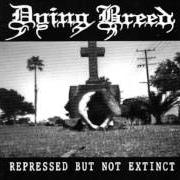 El texto musical CARVED de DYING BREED también está presente en el álbum Represed but not extinct (1994)