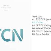 El texto musical CAN'T STOP de CNBLUE también está presente en el álbum Cnblue (2014)