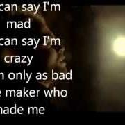 El texto musical STRAY DOG de PASSENGER (UK) también está presente en el álbum Wicked man's rest (2007)