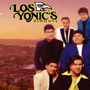 El texto musical QUISIERA AMARTE MENOS de LOS YONIC'S también está presente en el álbum Enamorados (1994)