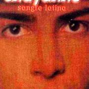 El texto musical VUELVE de CHAYANNE también está presente en el álbum Sangre latina (1986)