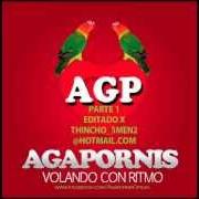 El texto musical TODO ESTÁ EN VOS de AGAPORNIS también está presente en el álbum Agapornis - volando con ritmo (2012)