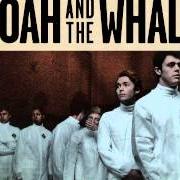 El texto musical NOW IS EXACTLY THE TIME de NOAH AND THE WHALE también está presente en el álbum Heart of nowhere (2013)