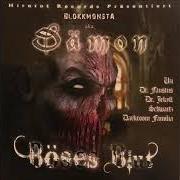 El texto musical KUGELN IM KOPF de BLOKKMONSTA también está presente en el álbum Böses blut (2007)