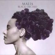 El texto musical BALTIMORE de MALIA también está presente en el álbum Black orchid (2012)