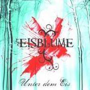 El texto musical LAND IN SICHT de EISBLUME también está presente en el álbum Unter dem eis (2009)
