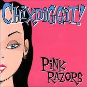 El texto musical C.G.I.T. de CHIXDIGGIT! también está presente en el álbum Pink razors (2005)