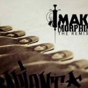 El texto musical AY AY AY (SIMPLE REMIX de SAPIENT también está presente en el álbum Make morphine - the remixes (2009)