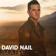 El texto musical I'M A FIRE de DAVID NAIL también está presente en el álbum I'm a fire (2014)