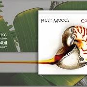 El texto musical COCOMILK de FRESH MOODS también está presente en el álbum Carbon islands (2013)