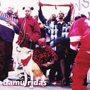 El texto musical TRUE FLUE KILLER de DAMU RIDAS también está presente en el álbum Damu ridas (1999)
