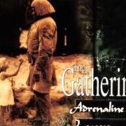 El texto musical ADRENALINE de THE GATHERING también está presente en el álbum Adrenaline / leaves (1996)