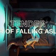 El texto musical HANDMADE EGO de TENDER también está presente en el álbum Fear of falling asleep (2019)